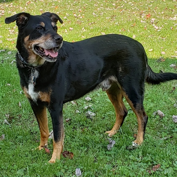 Meet your Posher, Michelle - Picture 2 of 2